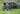 Battersea Tune Chaser Muizen Blauw / Groen